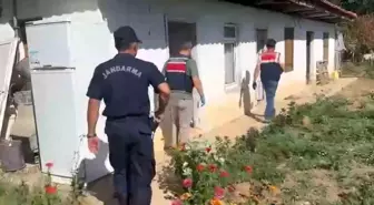 Menteşe'de Uyuşturucu Üreten Şüpheli Yakalandı