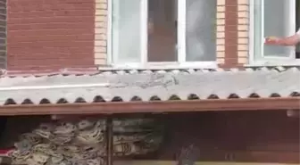 Tek Ayağı Olmayan Leylek, İtfaiye Eri Tarafından Havada Yakalandı