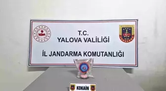 Yalova'da Uyuşturucu Operasyonunda 2 Tutuklama