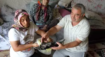 Yangında Aile Felaketi: 90 Bin Lira ve Hayvan Yemleri Küle Döndü