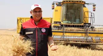 Ağrı'da Hasat Töreni: 280 Bin Ton Buğday, 160 Bin Ton Arpa Bekleniyor