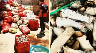 At ve eşek eti kullanımıyla gündeme gelen ilimizde bir skandal daha