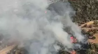 Kuyucak'ta Tarım Arazisinde Yangın Kontrol Altına Alındı