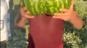 Bilecik'te İkiz Kavun ve Karpuz Görücüye Çıktı