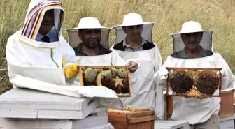 Bitlis Eren Üniversitesi'nde 1,5 Ton Bal Üretimi Hedefleniyor