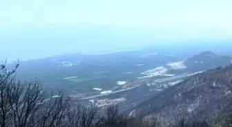 Bursa’da orman yangınlarının ardından 'hava kirliliği' alarmı: Şikayetler yüzde 30 arttı