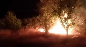 Malatya'da Ot Yangını Kontrol Altına Alındı