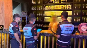 Didim ve Sultanhisar'da Sıcak Nokta Uygulaması: 404 Şahıs Sorgulandı