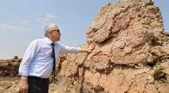 Hitit Şehri Kayalıpınar'dan 4 Tarihi Eser 'Geleceğe Miras' Sergisinde Sergilenecek