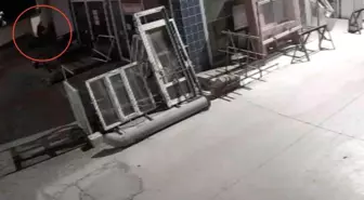 Kastamonu'da Köpeğe Aracıyla Çarpıp Tüfekle Vurdular