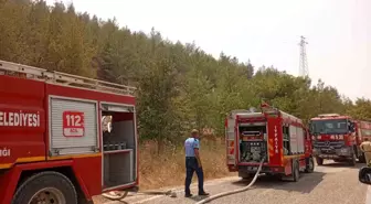 Gaziantep'te Belkız Köyü Mesire Alanı'nda Yangın Çıktı