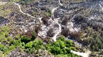 Karabük'teki Orman Yangını 24 Evi Yok Etti