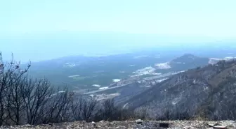 Bursa'daki Orman Yangınları Sağlığı Tehdit Ediyor