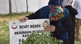 Yüksekova'da şehit olan anne ve bebekleri kabirleri başında anıldı