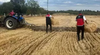 Bilecik'te Orman Yangınlarının Ardından Yardım Çalışmaları Devam Ediyor