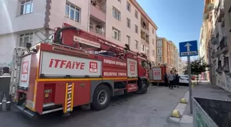 Eskişehir'de Apartman Yangını: 2 Kedi Dumandan Etkilenerek Kurtarıldı