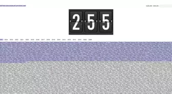 2025 yılında kaç kadın öldürüldü?