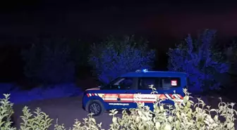 Adana'da Eğitim Uçağı Narenciye Bahçesine Düştü