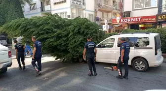 Aydın'da Kuruyan Ağaç Park Halindeki Aracın Üzerine Devrildi