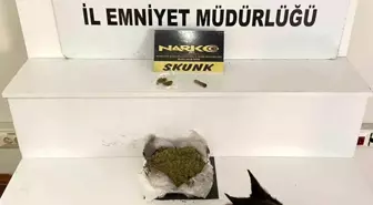Balıkesir'de Narkotik Ekiplerinden 485 Gram Esrar Operasyonu