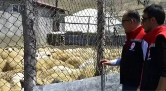 Bayburt'ta Küçükbaş Hayvancılık Uygulamaları İncelendi