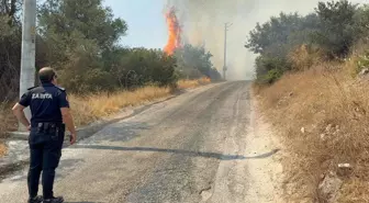 Bodrum'da Maki Yangını: Havadan ve Karadan Mücadele Devam Ediyor