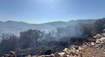 Bodrum'da Yangın 1,5 Saatte Kontrol Altına Alındı