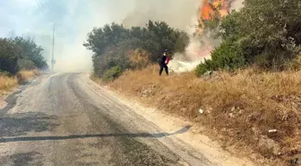Bodrum'da Yangın Müdahalesi Sürüyor