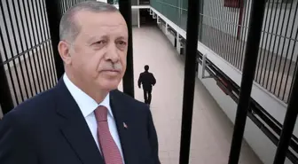 Cumhurbaşkanı Erdoğan, 9 hükümlünün cezasını kaldırdı