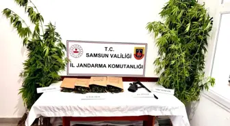 Samsun'da Jandarma Uyuşturucu Operasyonu: 1 Kilo Esrar ve Tüfek Ele Geçirildi