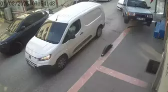 Kazaya karışan iki araç savrularak iş yerlerinin duvarına çarptı: 1 yaralı