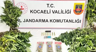 Kocaeli'de Uyuşturucu Operasyonu: Çok Sayıda Ele Geçirildi