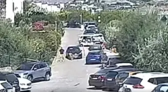 Bodrum'da Otomobilin Altında Kalarak Hayatını Kaybeden 'Çinko' İçin Hukuk Mücadelesi Başlatıldı