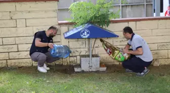 Küçükçekmece Belediyesi, Sokak Hayvanlarına Mama ve Su Desteği Sağlıyor