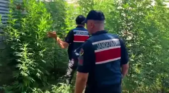 Mersin'de Uyuşturucu Operasyonu: 8 Gözaltı