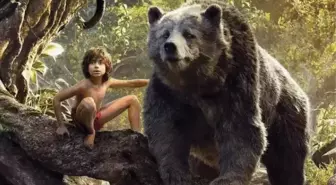 Orman Çocuğu filmi oyuncuları kim, konusu ne, sonu nasıl bitiyor? Orman Çocuğu filmi ne zaman, nerede çekildi?