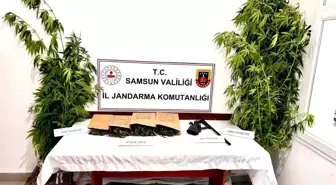 Samsun'da Uyuşturucu Operasyonu: 51 Kök Kenevir ve 500 Gram Esrar Ele Geçirildi