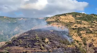 Tekirdağ'da Makilik Yangınında Hızla Müdahale