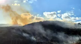 Uçmakdere'de Yangın Yeniden Başladı