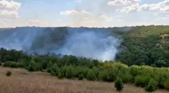 Tekirdağ'da Orman Yangınına Müdahale Ediliyor