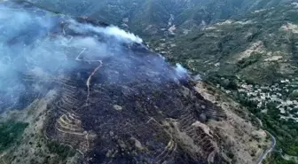 Tekirdağ'da Orman Yangını Kontrol Altına Alındı