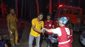 Türk Kızılay, Orman Yangınlarıyla Mücadelede Aktif Rol Alıyor