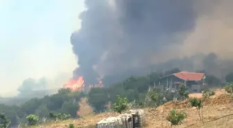 Bursa'daki Orman Yangını Bağ Evini Tehlikeden Kurtardı