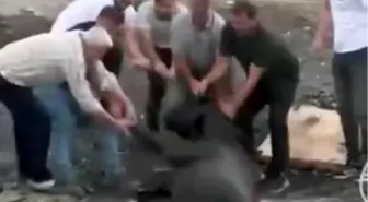 Avcılar'da Yangın: Besici İnelerini Kurtarmak İçin Gölete Soktu