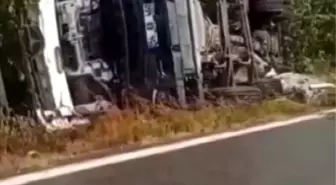 Beton Mikseri Fındık Tarlasına Devrildi, Sürücü Hafif Yaralandı