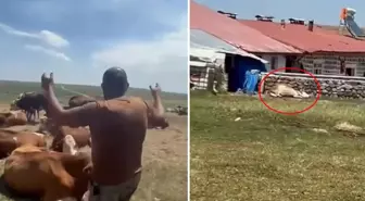 Bir ilimizde durum vahim! 'Nerede bu yetkililer?' diyerek isyan etti: Allah sen yardım et
