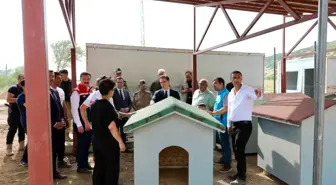 Bitlis Valisi Ahmet Karakaya, Hayvan Barınağı İnşaatında İncelemede Bulundu