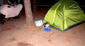Boşanma Aşamasındaki Eşini Vurarak Öldüren Zanlı Sinop'ta Yakalandı