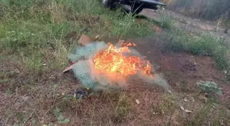 Samsun'da Kaçak Su Ürünleri Avcılığına Denetim