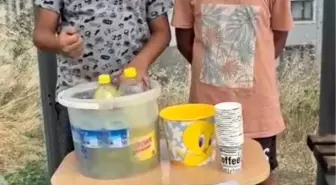 Çocuklardan Örnek Proje: Limonata İle Fidan Dikimine Destek